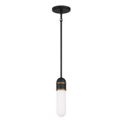Capsule 1 Light 3.25" LED Pendant in Matte Black + Textured Gold