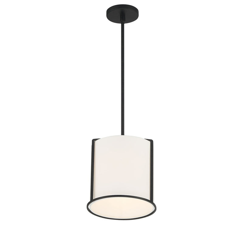 Carlyn 1 Light 10" Pendant in Black