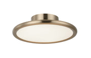 Piper 12" LED Wall / Ceiling Light in Champagne Gold
