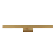 Pasha 23" LED Picture Light in Gold