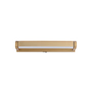 Braque 19" LED Picture Light in Gold