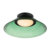 Jensen 12" Wall / Ceiling Light in Black