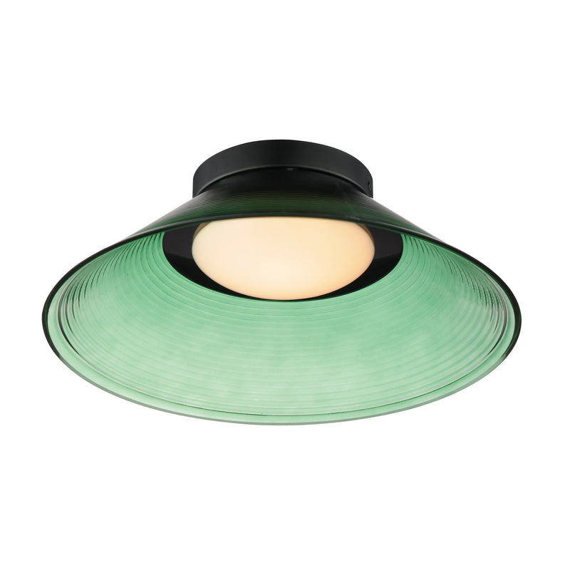 Jensen 12" Wall / Ceiling Light in Black