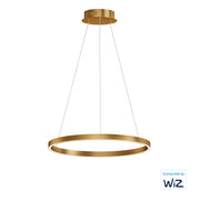 Groove WiZ 24" LED Pendant in Gold