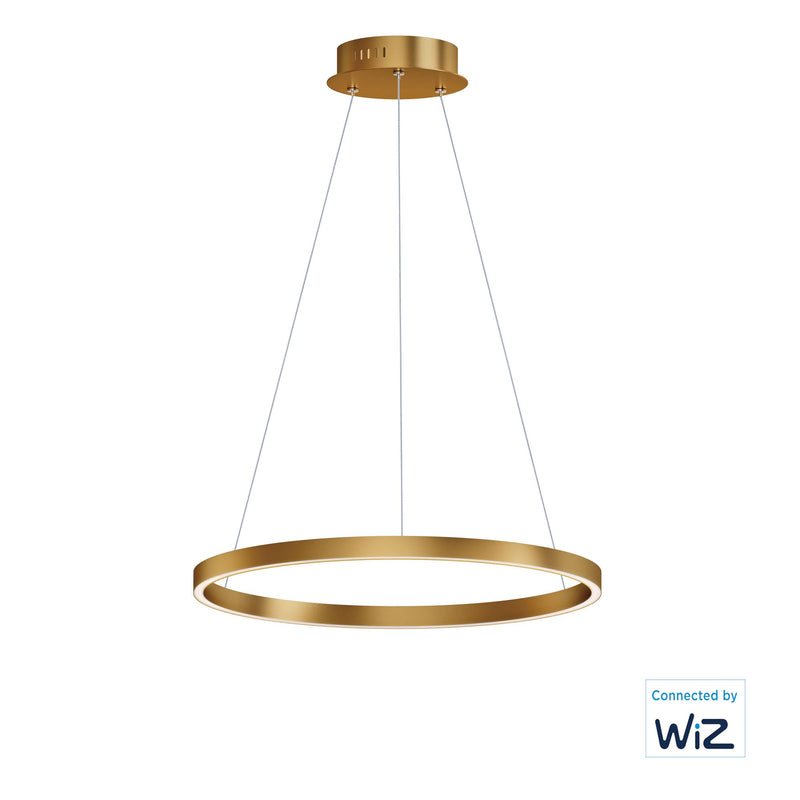 Groove WiZ 24" LED Pendant in Gold