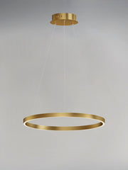 Groove WiZ 24" LED Pendant in Gold