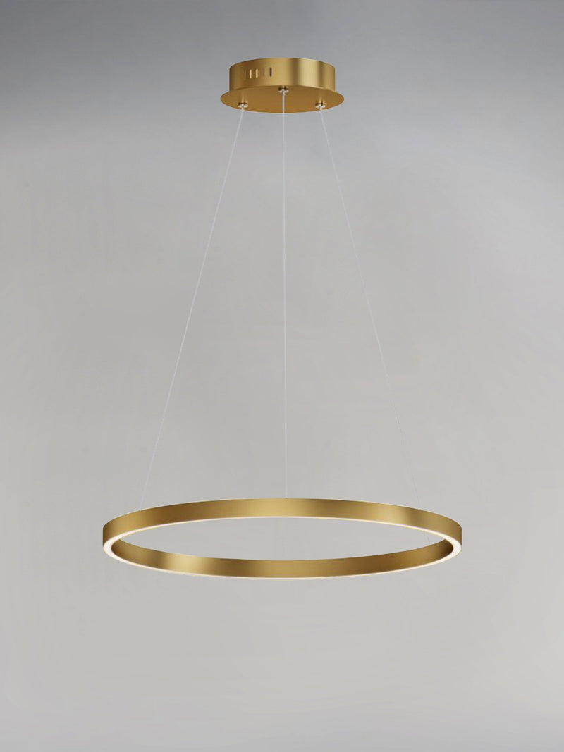 Groove WiZ 24" LED Pendant in Gold