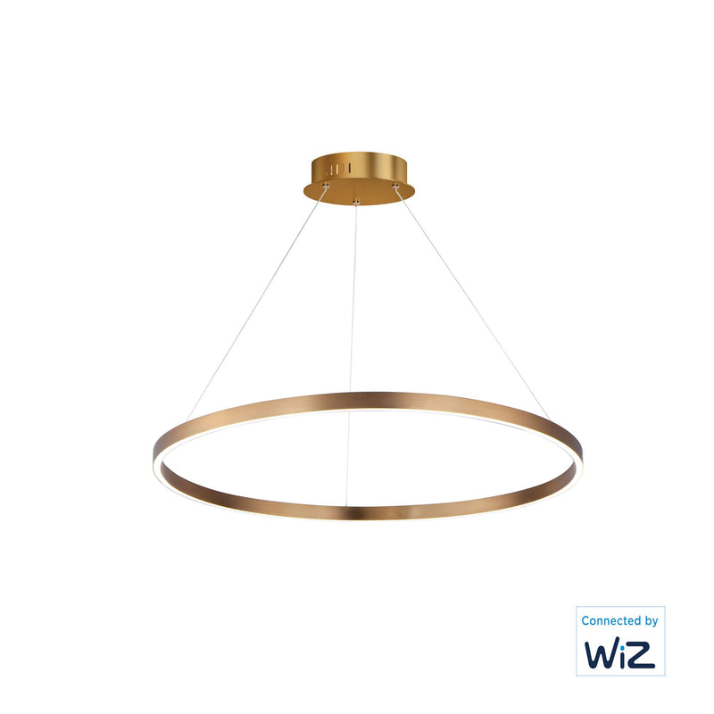 Groove WiZ 32" LED Pendant in Gold