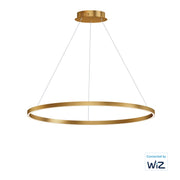 Groove WiZ 40" LED Pendant in Gold