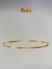 Groove WiZ 40" LED Pendant in Gold