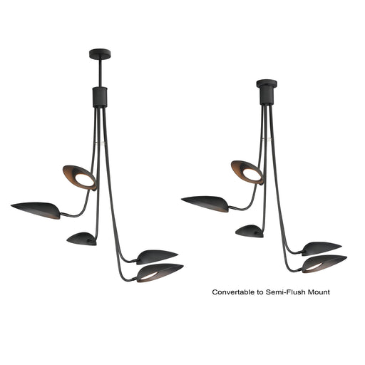 Marsh 5-Light LED Chandelier in Black