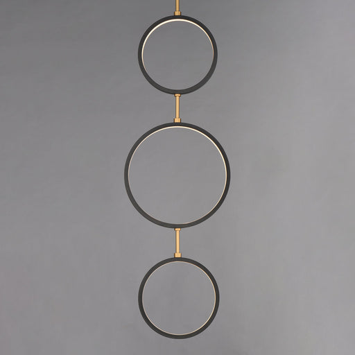 Hoopla 3-Light LED Pendant in Black / Gold