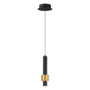 Reveal 1-Light LED Pendant in Black / Gold