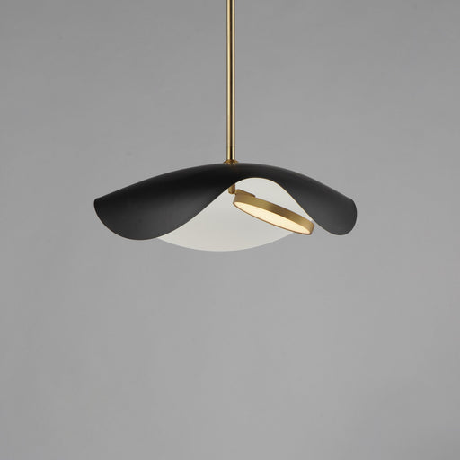 Carmen 16" LED Pendant in Black / Gold