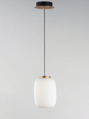 Soji 2-Light 10.75" Tall LED Pendant in Black / Gold