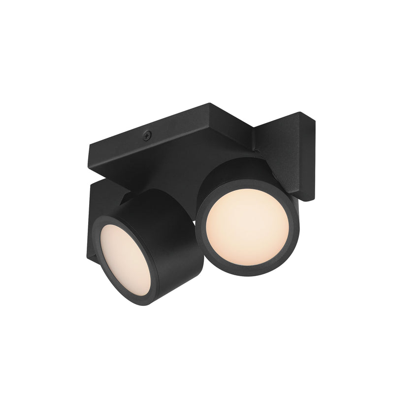 Embrace 2-Light LED Wall / Ceiling Light in Black