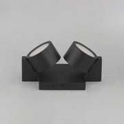 Embrace 2-Light LED Wall / Ceiling Light in Black