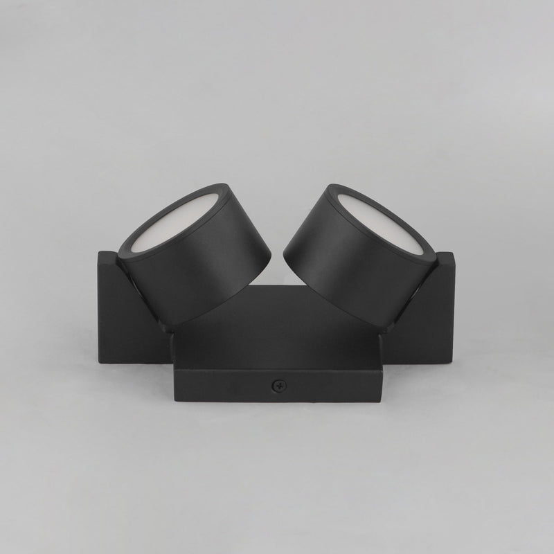 Embrace 2-Light LED Wall / Ceiling Light in Black