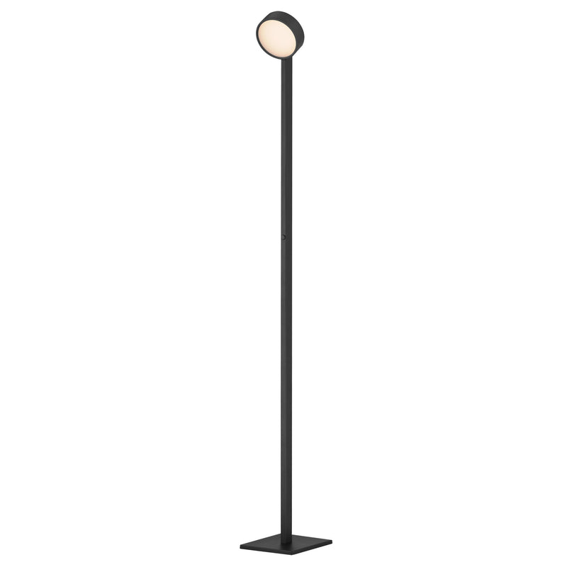 Embrace Adjustable Floor Lamp in Black