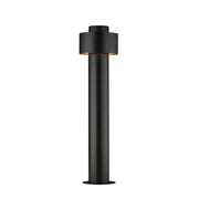 Reveal 12-24 Volt LED Garden Light in Black