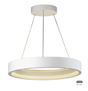 iCorona Friends of Hue LED Pendant in Matte White