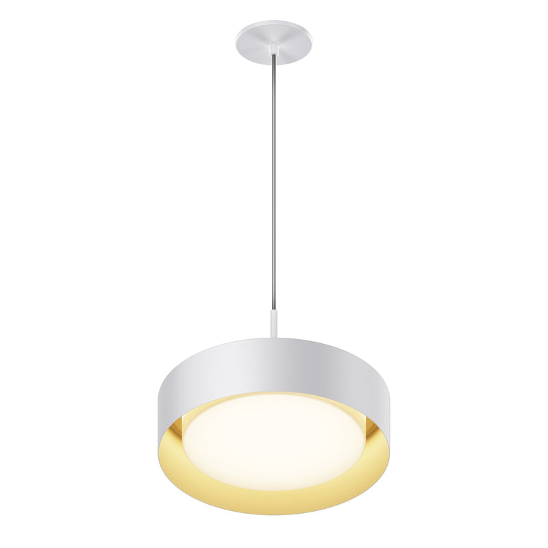 Echo 13" LED Pendant in White / Gold