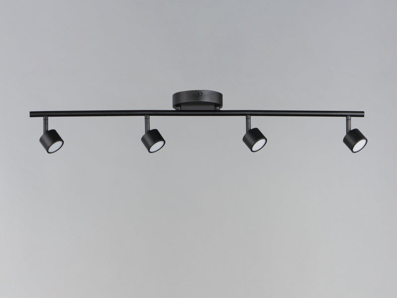 Taylor 4 Light LED Bath Vanity Light in Black