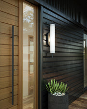 Estes 24" Outdoor Wall Light in Black