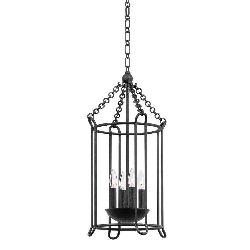 Lassen 4-Light Chandelier in Black Iron