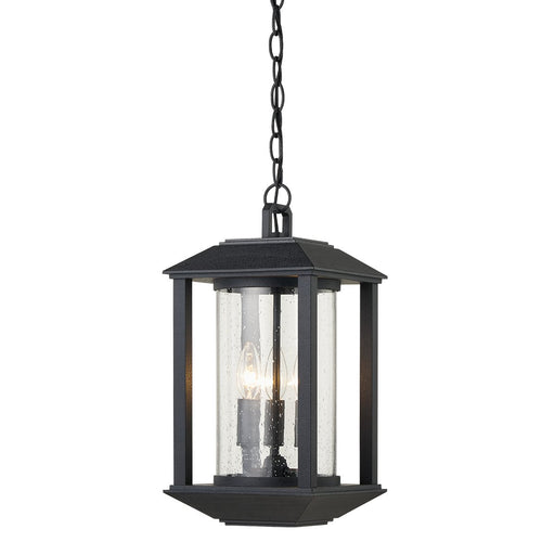 McCarthy 3-Light Outdoor Lantern Pendant in Weathered Graphite