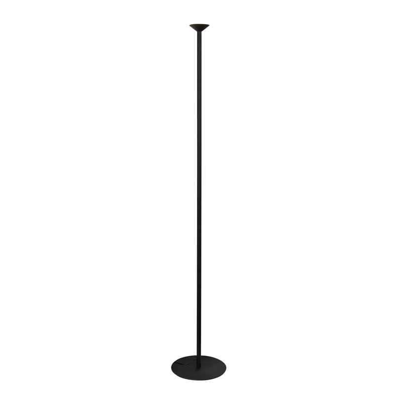 Valor 78" Floor Lamp in Black