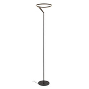 Roda 66" Floor Lamp in Black