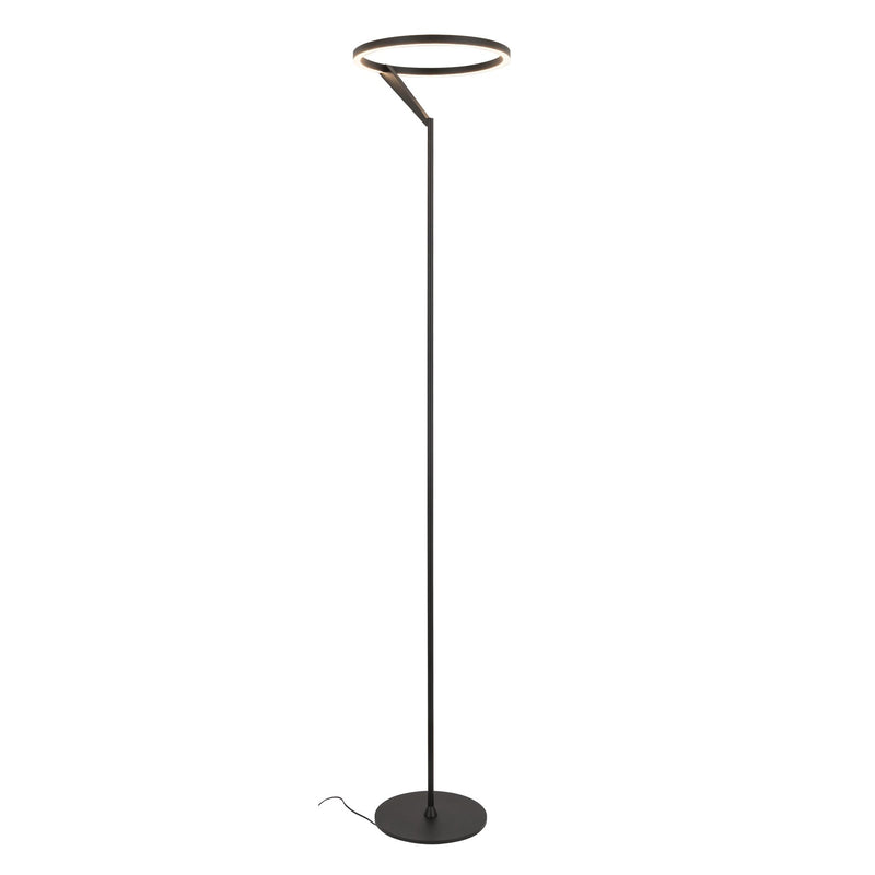 Roda 66" Floor Lamp in Black