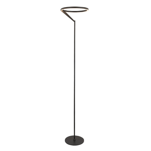Roda 66" Floor Lamp in Black