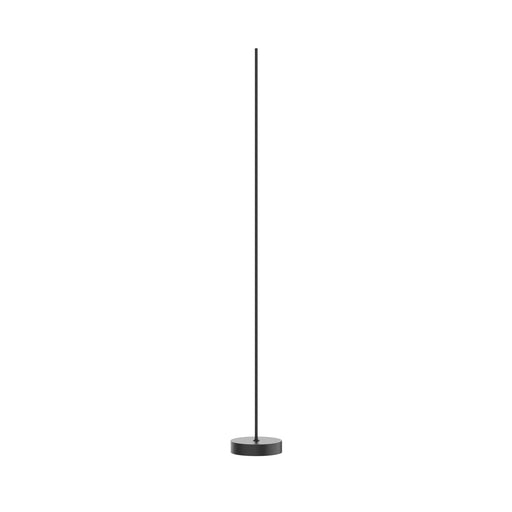 Reeds 10" Floor Lamp in Black