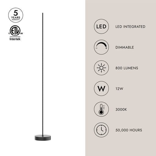 Reeds 10" Floor Lamp in Black