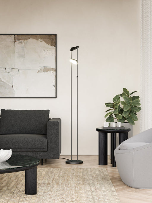 Novel 68" Floor Lamp in Black
