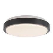 Yanis 12" Wall / Ceiling Light in Black