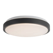 Yanis 16" Wall / Ceiling Light in Black