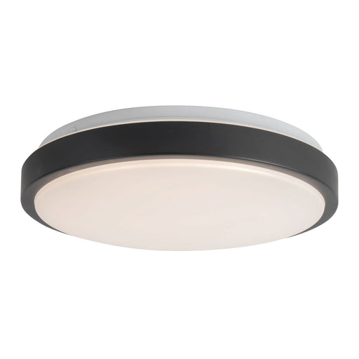 Yanis 16" Wall / Ceiling Light in Black