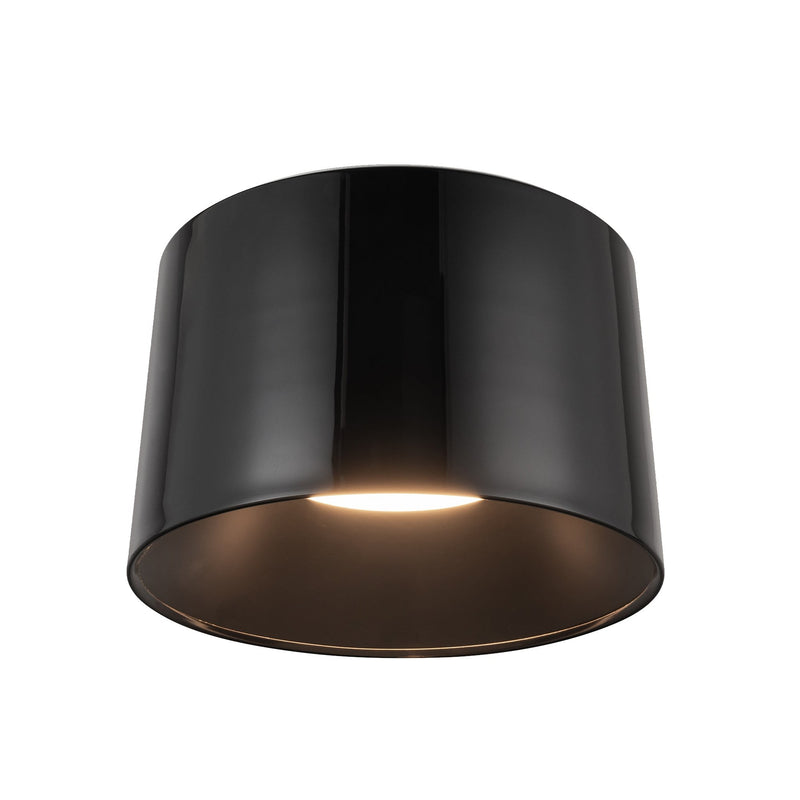 Etta 20" Flush Mount in Jet Black