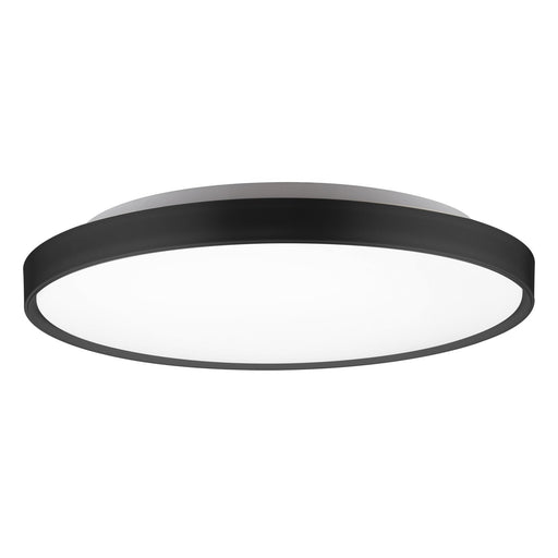 Brunswick 22" Flush Mount in Black