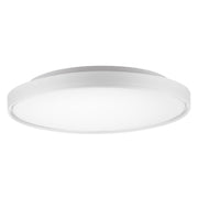 Brunswick 22" Flush Mount in White