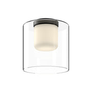 Birch 9" Flush Mount in Black/Clear