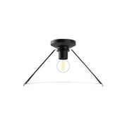 Salem 14" Flush Mount in Clear Glass/Matte Black