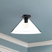 Salem 14" Flush Mount in Clear Glass/Matte Black