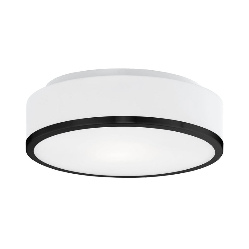 Charlie 12" LED Flush Mount in Black