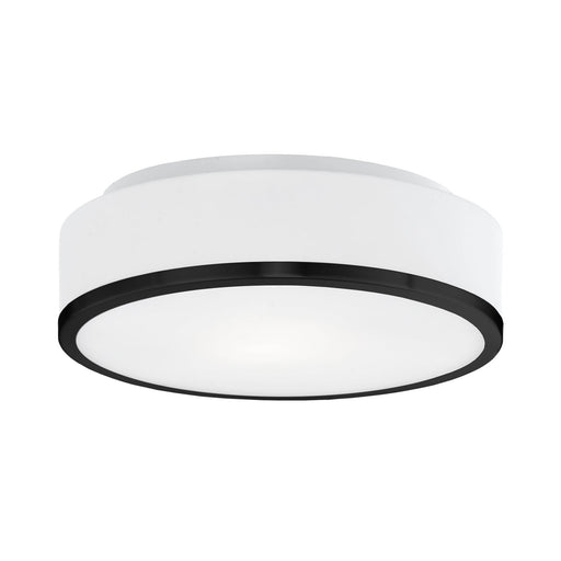Charlie 12" LED Flush Mount in Black