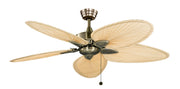 Windpointe 52" Ceiling Fan in Antique Brass / Narrow Oval Natural Palm Blades