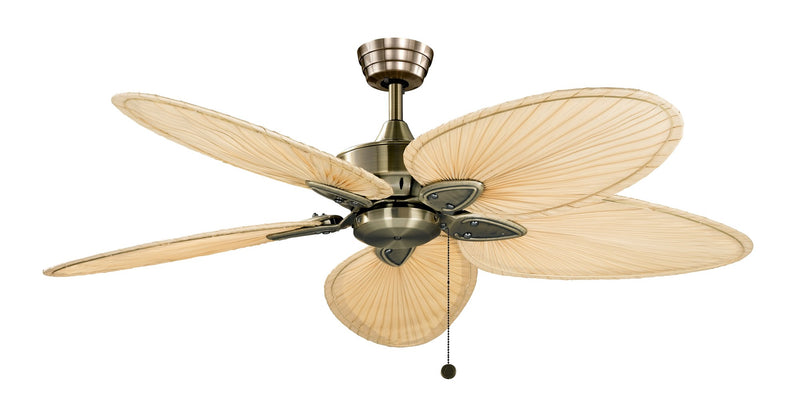 Windpointe 52" Ceiling Fan in Antique Brass / Narrow Oval Natural Palm Blades